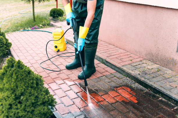Best Gutter Cleaning  in Springdale, MD